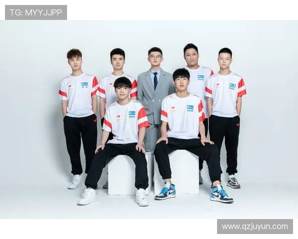 王者荣耀团队协作解析：深入探讨WE战队的默契与配合技巧