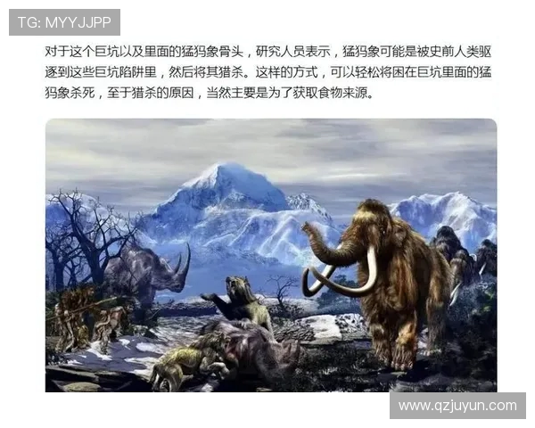 探索奥蓬达的魅力与神秘揭示其背后的历史与文化价值