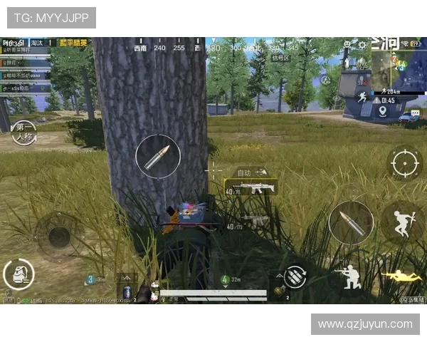 和平精英最新配合排行榜揭晓BLG战队荣登第二名引发热议